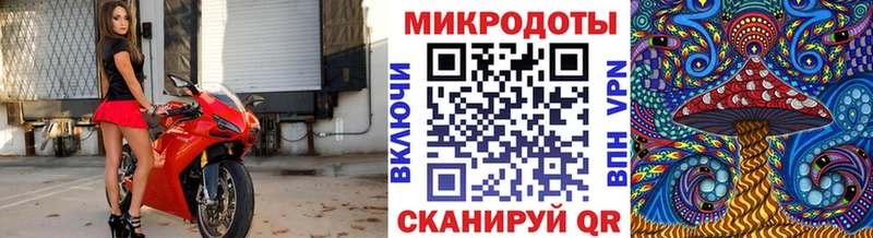 Галлюциногенные грибы Psilocybe  Берёзовский 